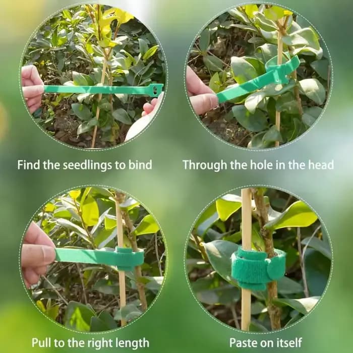 100 attaches pour plantes en nylon réutilisables, attaches auto-agrippantes réglables antidérapantes