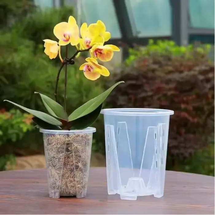 Pots à orchidées avec stémodes, respirants et à fentes, pour le jardinage et le contrôle des racines, pour Phalaenopsis, plantes feuillues et succulentes (1 à 4 pièces)