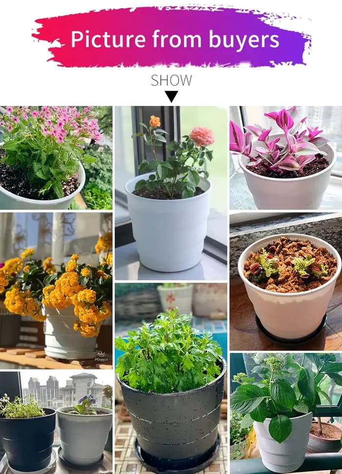 Pot de fleurs en meshpot pour plantes domestiques
