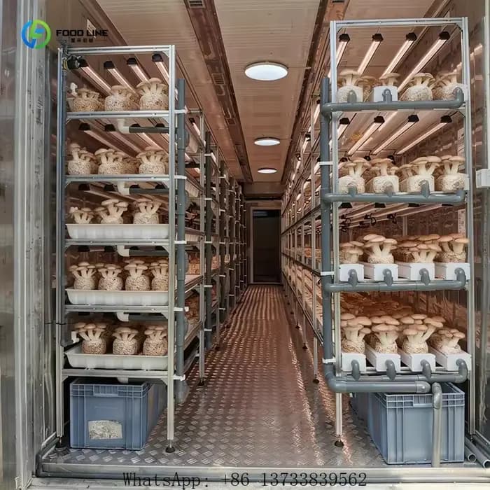 Serre de culture de champignons personnalisée de 20 à 40 pieds avec système de climatisation et étagères