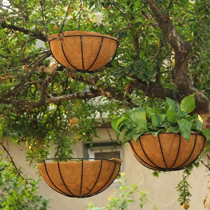 Face Basket AMP en métal noir, Garden Products