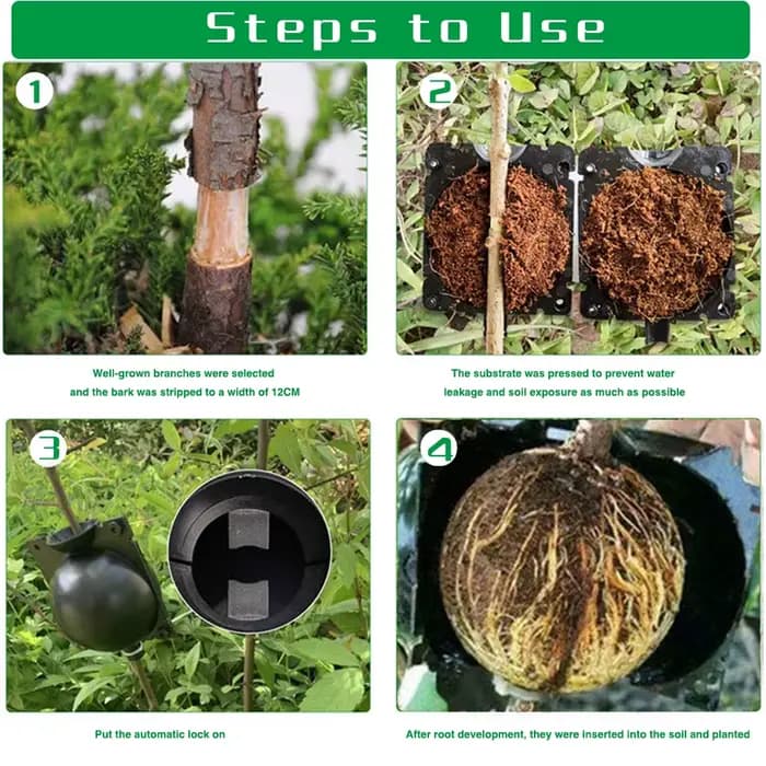 Boule d'enracinement de plantes réutilisables noires, Pot de transplantation de pépinière, Propagati