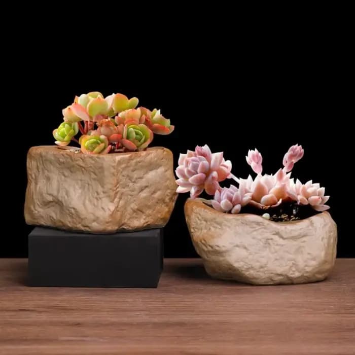 Pots de plantes succulentes en céramique en forme de pierre