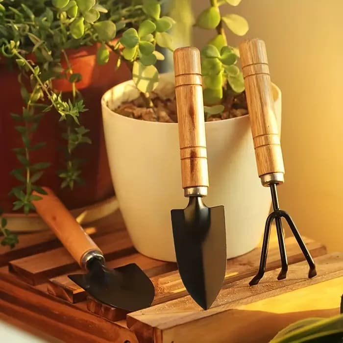 Ensemble d'outils de jardinage avec truelle et pelle