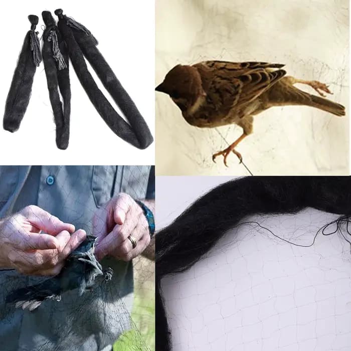 Filet en nylon anti-oiseaux pour vergers et aéroports, piège à oiseaux, cultures, arbres fruitiers,