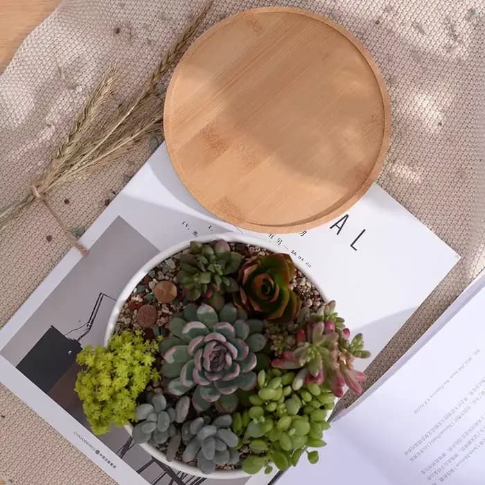 Pot de fleurs rond en céramique blanche