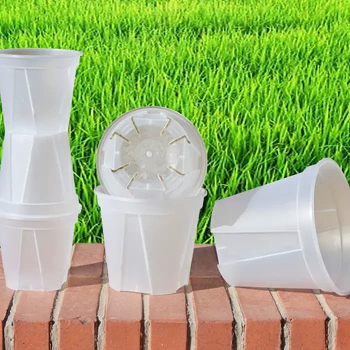 Pots de fleurs d'orchidées transparents