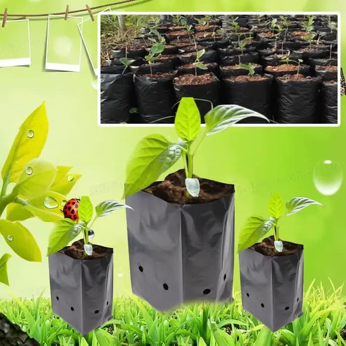 Sacs de pépinière en PE, pot de semis avec trou respirant pour le jardinage, conteneur de plantation