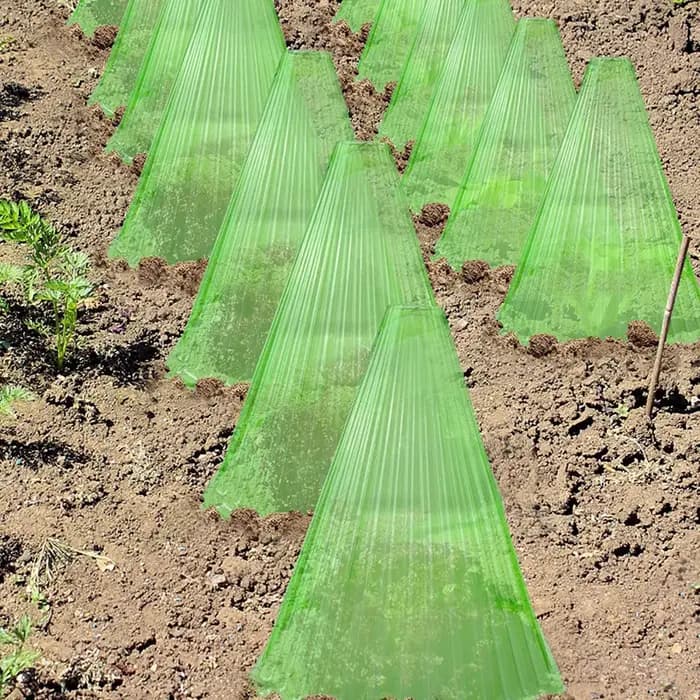 Couvercle de protection pour semis, boîte de croissance, tente de plantation, couvercle d'horloge po