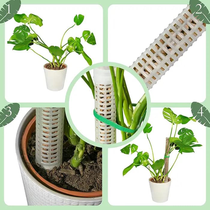 Colonne grimpante pour plantes, poteau en mousse sphagne, Support de croissance pour plantes, retenu