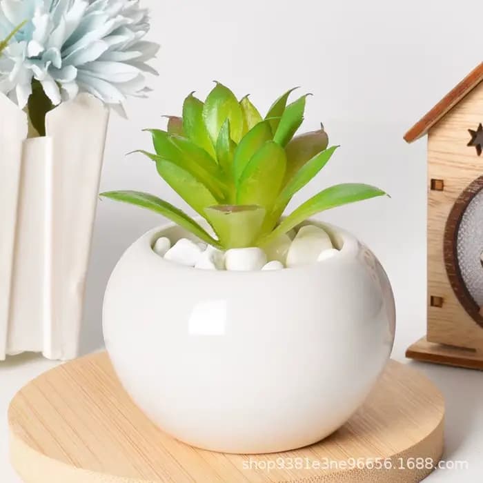 Petit pot rond en céramique pour plantes succulentes