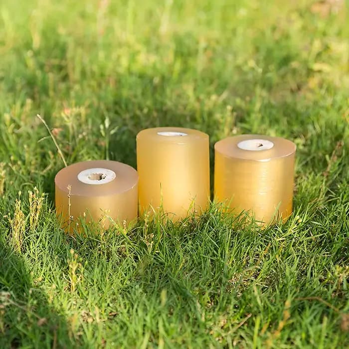 Film à membrane de greffage d'arbres fruitiers, bande de protection des plantes, film auto-adhésif,