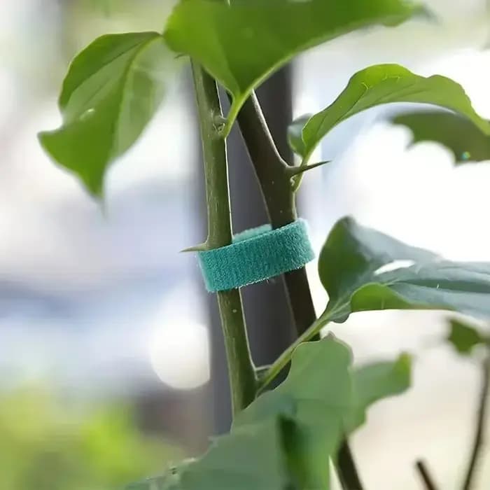 Bandes d'attache de câble en Nylon pour plantes auto-adhésives, vertes, réglables, Support de boucle