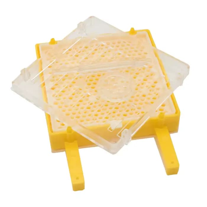 Jenter – Kit d'élevage de reine, système d'élevage de fausses abeilles, Cage mobile, outil pour apic