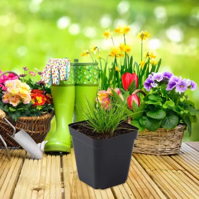 Pots de semis 50 pièces carrés plante semis-gobelet de plantation en plastique pépinière profonde ar