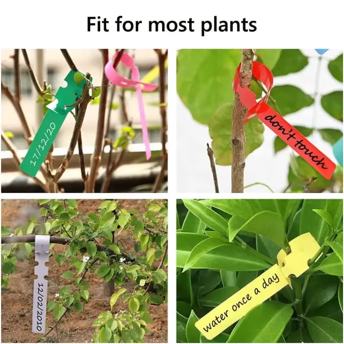 Étiquettes de jardin, Classification des plantes, signe de tri, billet, plaque d'écriture en plastiq