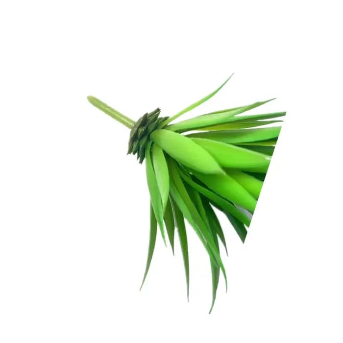 2 plantes artificielles, cactus, succulentes, pour la décoration de la maison, des fêtes de Noël, des mariages