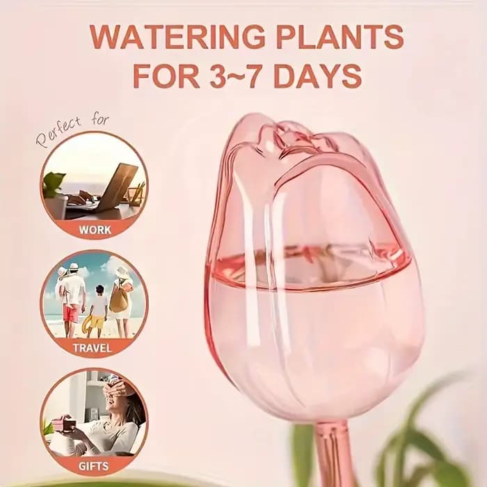 3 boules d'irrigation en forme de tulipe avec un design à embout étroit pour prolonger le temps