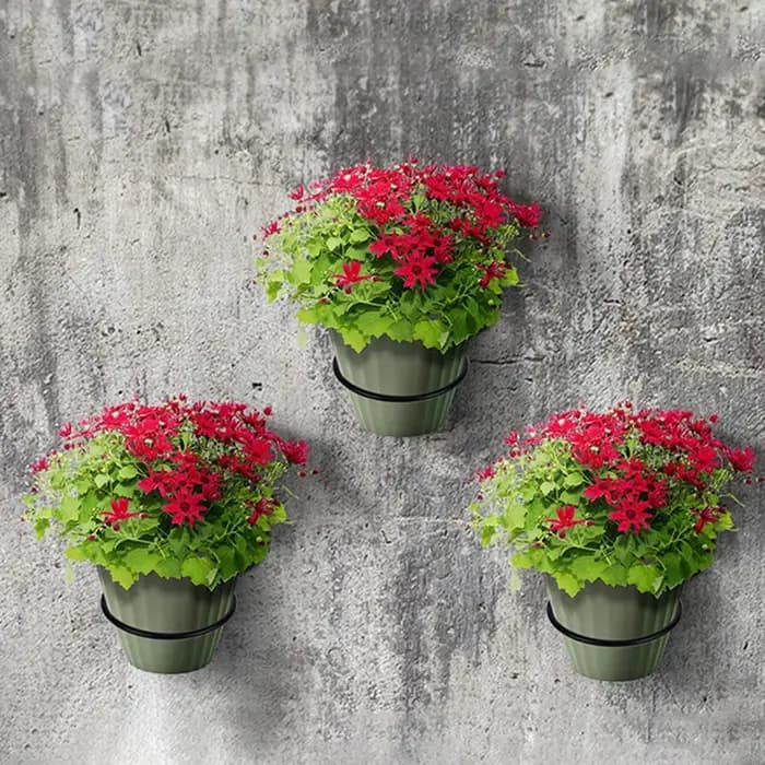 Anneau de support de Pot de fleur mural, facile à installer, crochet de plante en métal polyvalent,
