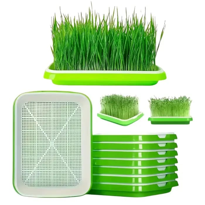 Kit de germination rapide 4 pièces (2 ensembles) avec plateaux