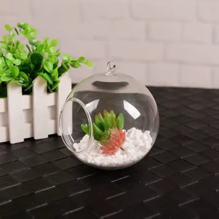 Boule de Terrarium en Verre Transparent en Forme de Globe, Conteneur de Fleurs, Ornement de Paysage,