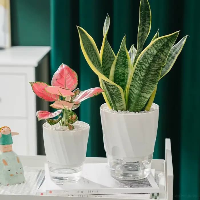 Pots de jardinières à arrosage automatique paresseux
