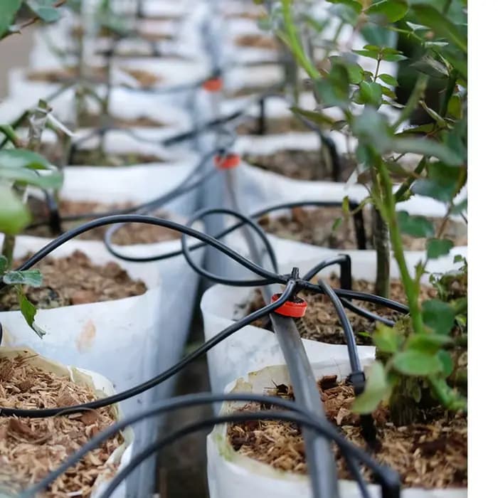 Goutteur de Compensation pour Irrigation goutte-à-goutte agricole, 50 pièces, émetteurs de Compensat