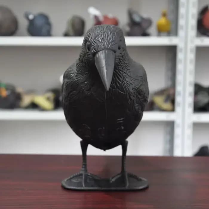 Décoration Jardin extérieurSimulation corbeau noir répulsif d'oiseaux lutte antiparasitaire
