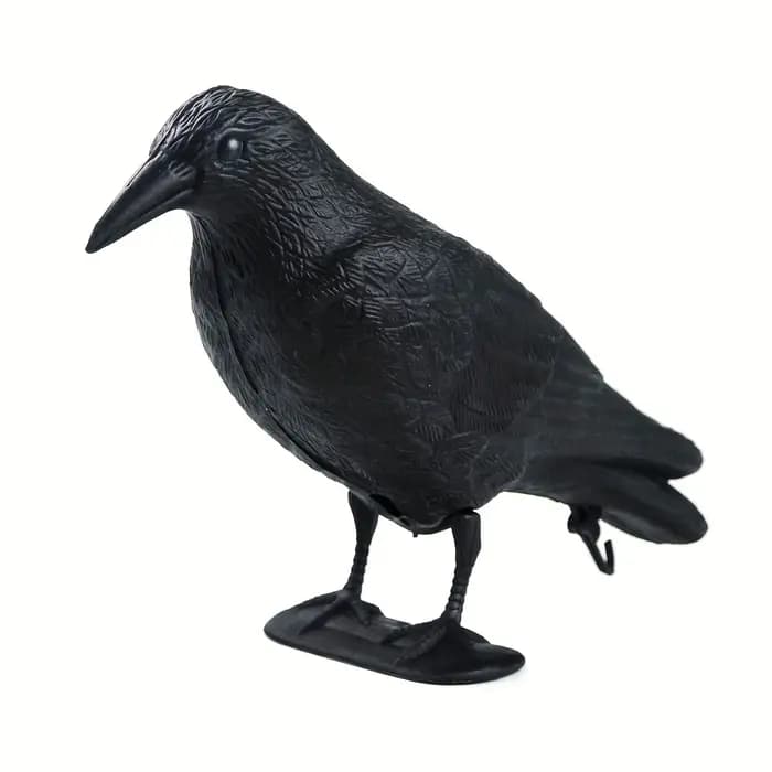 Pigeon épouvantail leurre corbeau antiparasitaire répulsif dissuasion