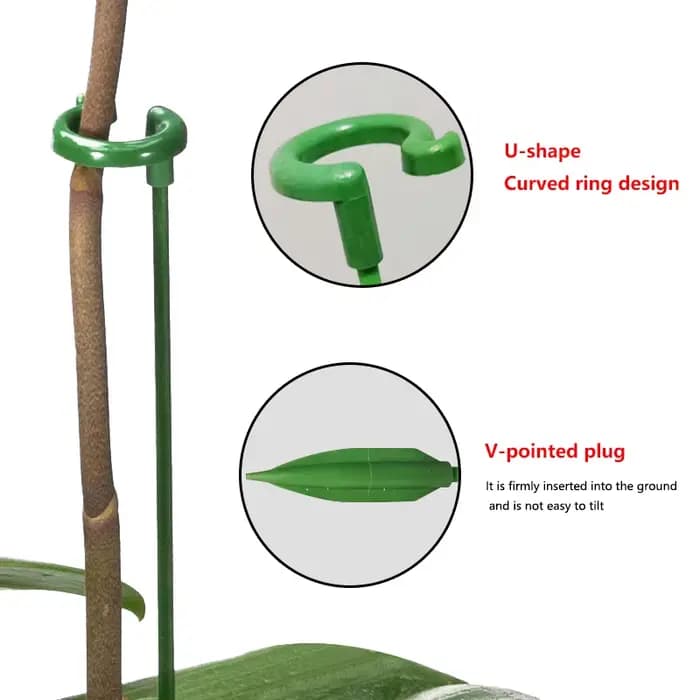 Supports de plantes en plastique, 2/5/10 pièces, Support de fleurs, outil de fixation de Protection