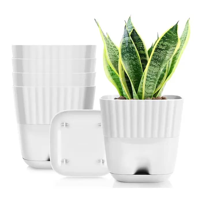 Pots de fleurs 6 pouces