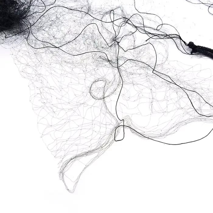 Filet de pêche anti-oiseaux, 6x3m, pour sécuritaires, pièges, cultures, arbres fruitiers, fleurs, ja