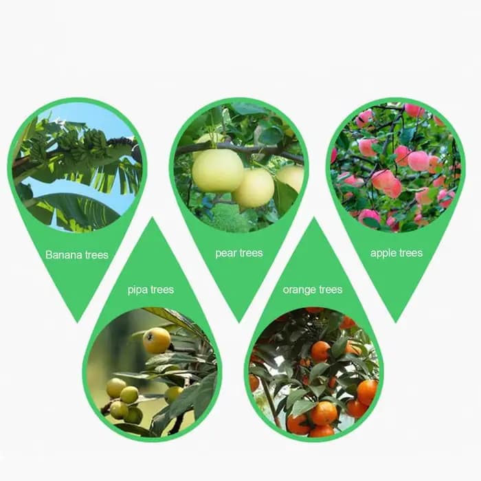 Coupe-anneau d'écorce d'arbre réglable, ciseaux de branche d'arbre, coupe-ceinture d'écorce, outil de cisaillement d'épluchage, décapant de jardin pour fruits