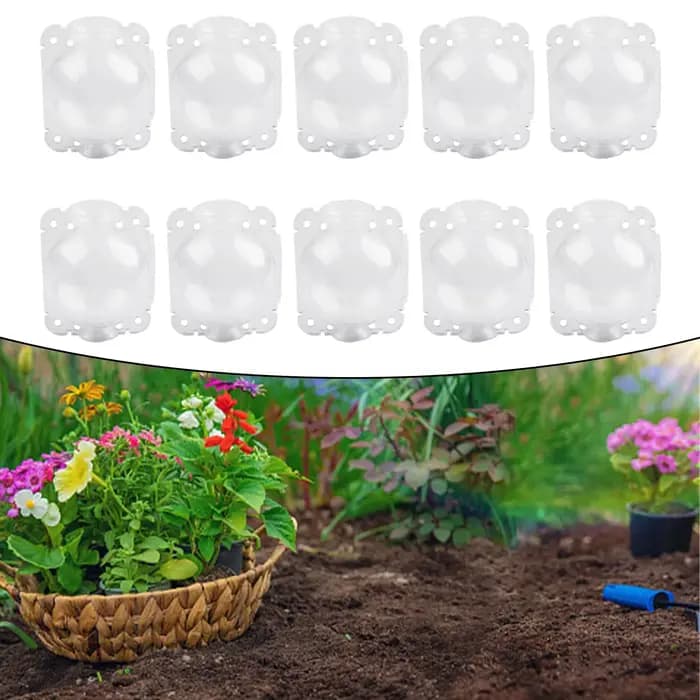 Boîte de culture de racines de plantes 5cm/8cm, 20/10 pièces, boule de Propagation à haute pression,