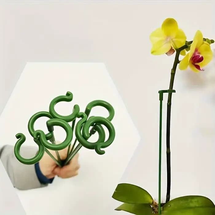 Support pour plantes en fibre de verre, 10 orchidées papillon, Support spécial pour Pot de fleur, ti