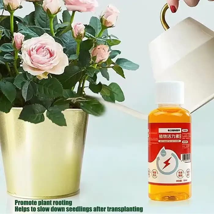 Prospérer pour les plantes 50ml Nutrition liquide