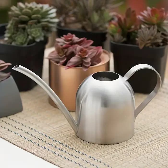 Pot d'arrosage en acier inoxydable, 1 pièce, ponçage en cuivre, sable, or, plantes de jardin, buse à