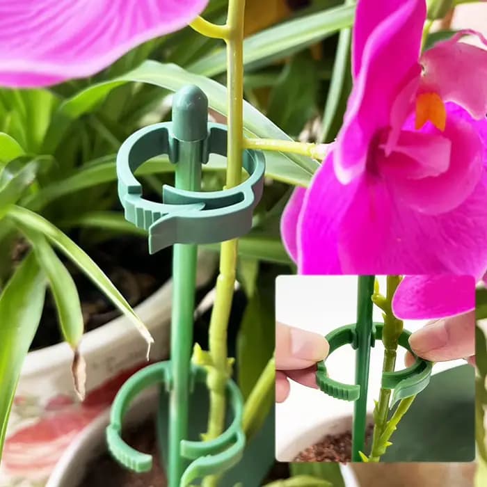 Piquets de Support pour plantes 90/60/30cm, réglables pour jardin, tige unique, Support de fleurs, b