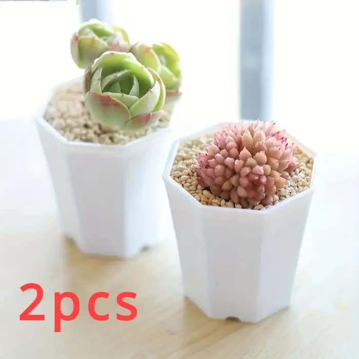 2/4//10 pièces de Pots de fleurs octogonaux blancs sont très adaptés aux cactus succulents et à la croissance des plantes intérieures et extérieures