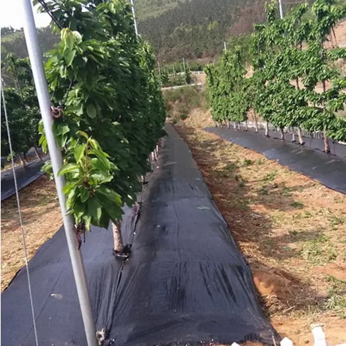 Gril agricole anti-enge orienté ferme, barrière contre les mauvaises herbes, polymères, paillis en p