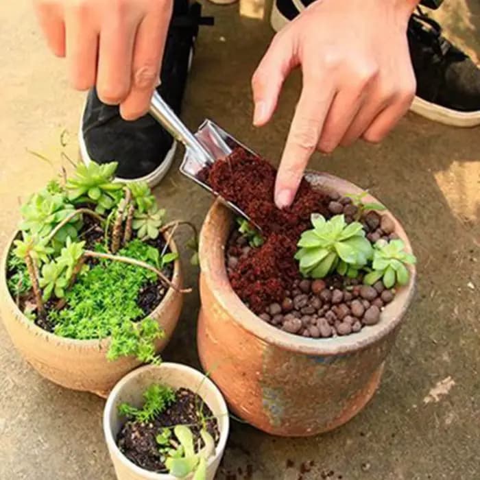 Spatule de jardinage en acier inoxydable pour bonsaï