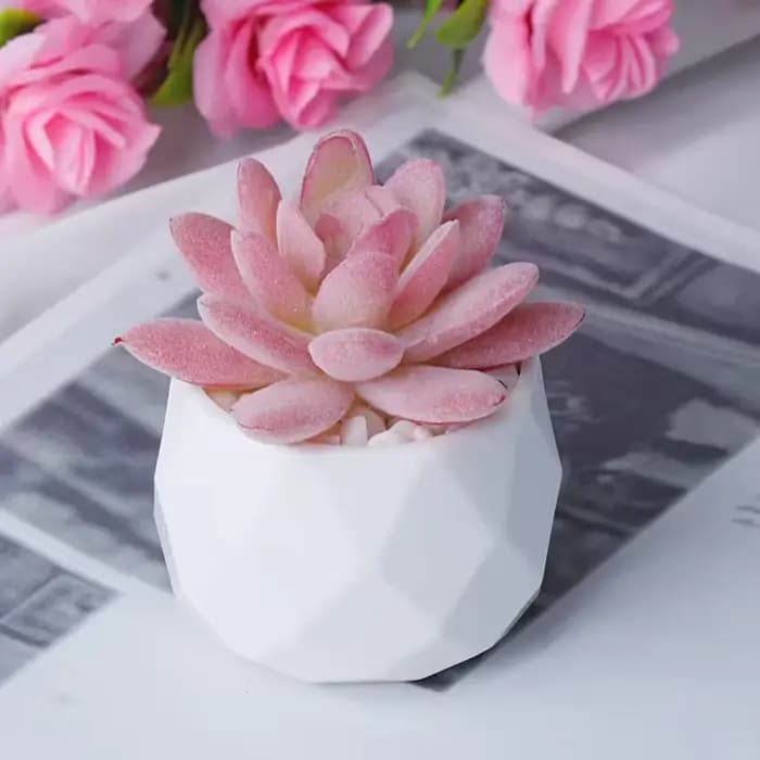 2 pièces de bonsaïs succulents artificiels avec pot