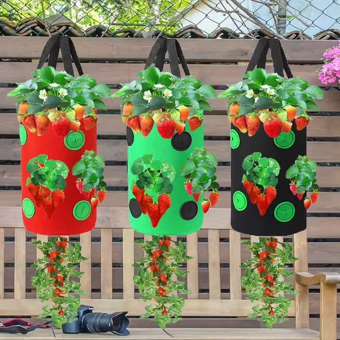 Sac de plantation suspendu pour fraises et tomates, pot de culture vertical pour fraises (1 pièce)