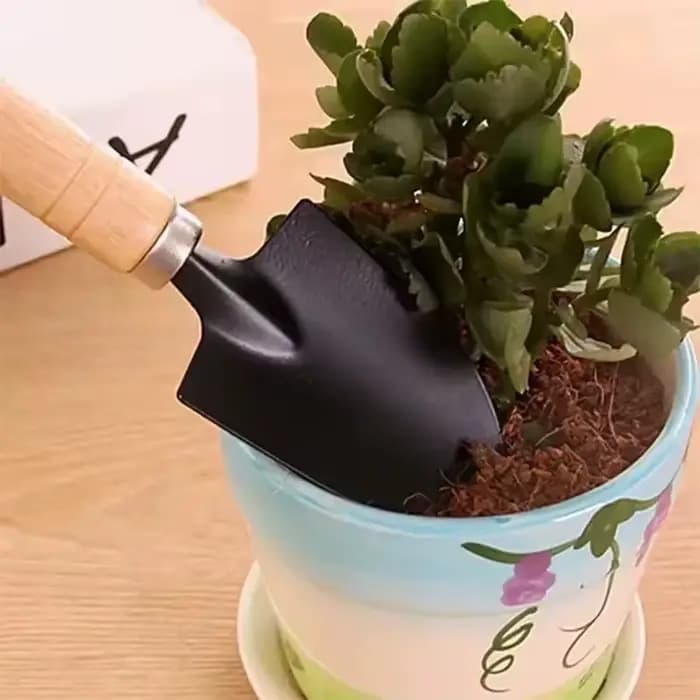 Ensemble de 3 mini-outils de jardinage : petite pelle