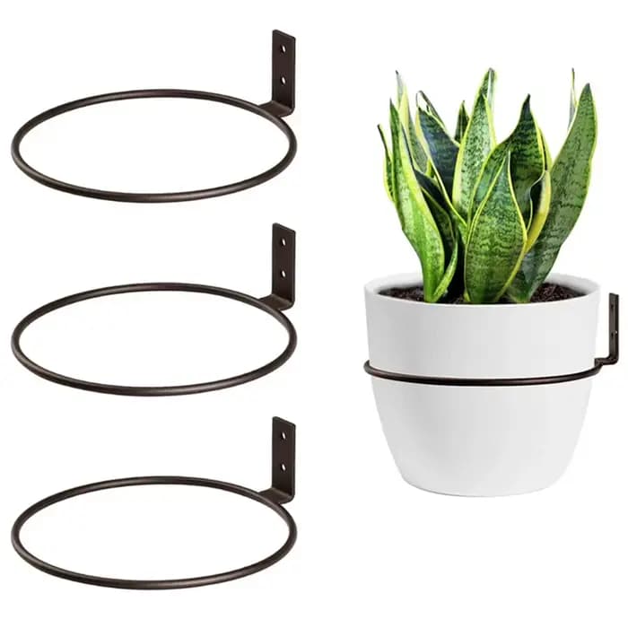  Anneau de support pour plantes, support mural pour Pot de fleurs, anneau en métal, cintre pour plantes d'intérieur, supports de fleurs