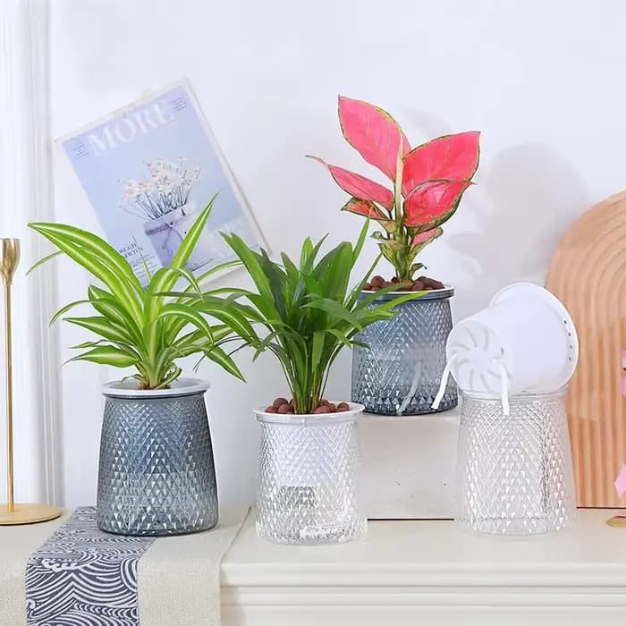 Pots de plantes à arrosage automatique
