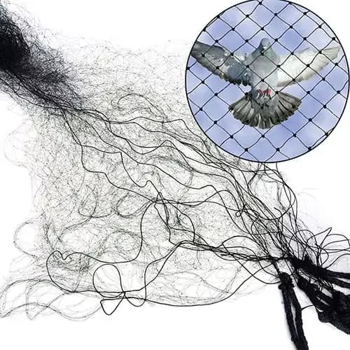 Filet anti-oiseaux, 3x10m, pour sécuritaires, pêche, pièges, cultures, arbres fruitiers, fleurs, jar