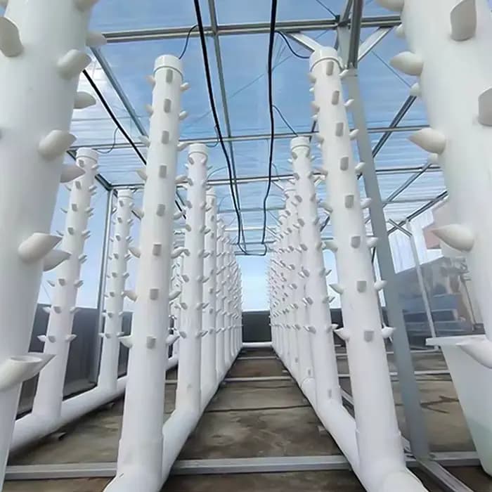 Outil de culture sans sol, tasse de pépinière de colonisation hydroponique, avec éponge de culture,