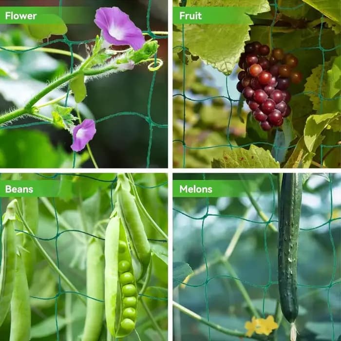 Filet de jardin en nylon vert, treillis pour plantes grimpantes, filet à mailles rapide pour concomb