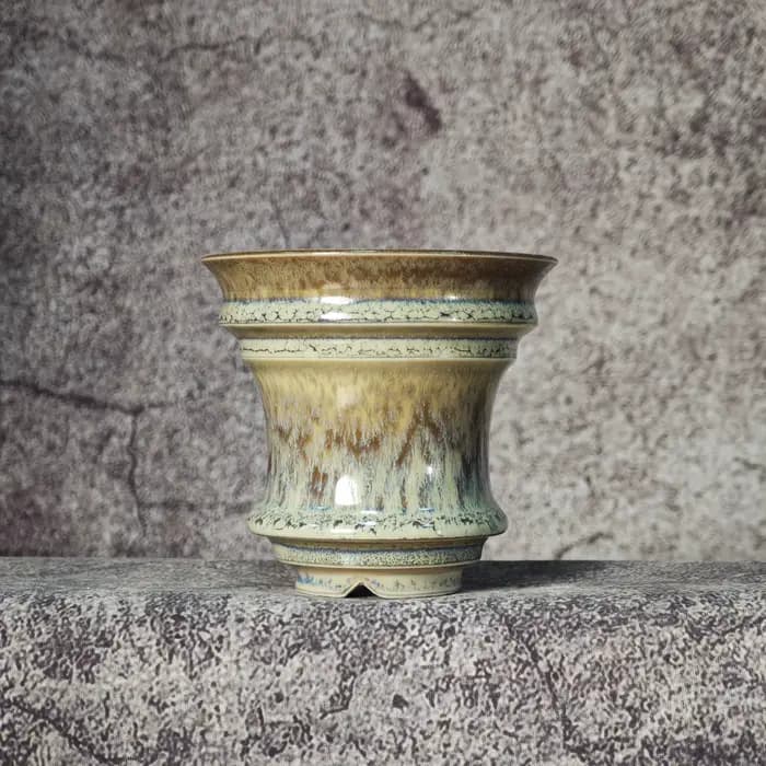 Pots en céramique Caudex